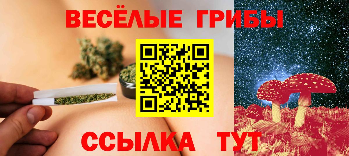Псилоцибиновые грибы MAGIC MUSHROOMS  Псилоцибиновые грибы ЛСД  Краснокаменск  купить наркоту  Вход с VPN 